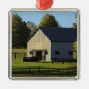 Search for thoroughbred horse christmas tree decorations Kentucky