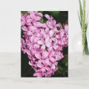 Search for scented cards Floral