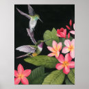 Search for hummingbird art Birds
