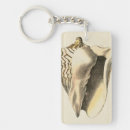 Search for conch key rings Coastal
