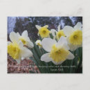 Search for isaiah postcards Nature