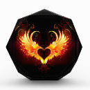 Search for wings of fire gifts Angel