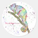 Search for funny chameleon stickers Lizard