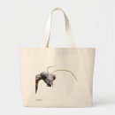 Search for mantis bags Nature