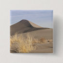 Search for sand dune badges Dunes