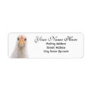 Search for funny chicken return address labels Animal