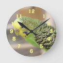 Search for kiwi bird art Green