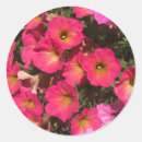 Search for in springtime stickers Nature