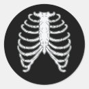 Search for rib cage stickers Bones