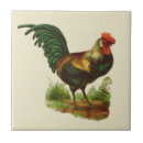Search for kitchen tiles Farmhouse