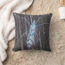 Search for bug cushions Nature