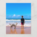 Search for design flyers Pet