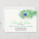 Search for peacock feather save Watercolor