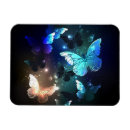 Search for flutter magnets Blue