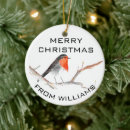 Search for robin christmas tree decorations Watercolor