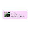 Search for at night return address labels Floral