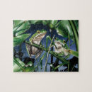 Search for green tree frog puzzles Nature
