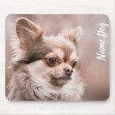 Search for chihuahua mousepads Dog