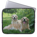 Search for flat coated retriever electronics Dogs