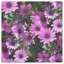 Search for daisy pattern fabric Botanical