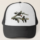 Search for extinction hats Animal