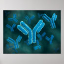 Search for microscopic art Dna