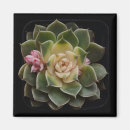Search for horticulture magnets Nature