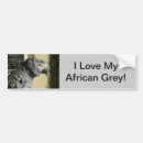 Search for feathers bumper stickers Grey