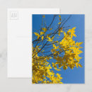 Search for ashes postcards Autumn