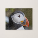 Search for puffin puzzles Iceland