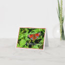 Search for peacock butterfly cards Nature