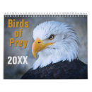 Search for birds of prey calendars Osprey