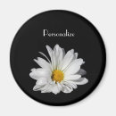 Search for white daisy magnets Elegant