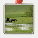 Search for amish christmas tree decorations Ohio