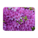 Search for azalea magnets Floral