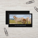 Search for cattle business cards Unique