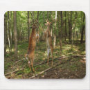 Search for deer buck mousepads Bucks