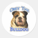 Search for bully dog stickers Bulldog