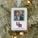 Search for license plate christmas tree decorations Ualbany great danes