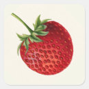 Search for vintage strawberry stickers Summer