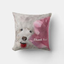 Search for labradoodle cushions Cute