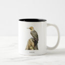 Search for flickering mugs Woodpecker