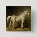 Search for horse stable badges Equestrian