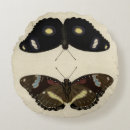 Search for insect cushions Butterflies