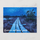 Search for swamp postcards Nature