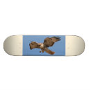Search for hawk skateboards Raptor