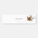 Search for corgi bumper stickers Car