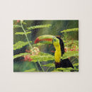 Search for toucan puzzles Colourful