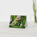 Search for swallowtail butterfly cards Nature