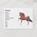 Search for bay business cards Equestrian